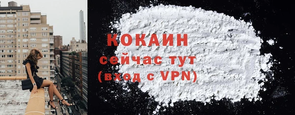 PSILOCYBIN Ладушкин