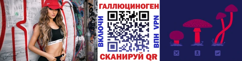 Купить где  Зеленокумск  Галлюциногенные грибы мицелий 